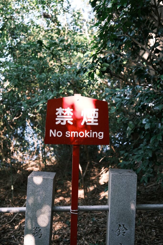 GRAP‑IV in Delhi: What’s Allowed, What’s Banned and How the Toughest Anti‑Pollution Rules Work