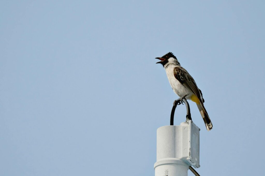 Nano‑Droplet Air Purifier Erases 99.9% of Ultrafine Dust, Redefining Clean Air