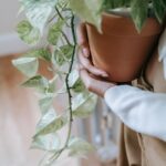 The Top Air Purifier to Guard Against Cold and Flu: Our Data‑Driven Verdict