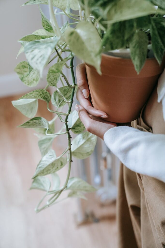 The Top Air Purifier to Guard Against Cold and Flu: Our Data‑Driven Verdict