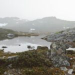 Fog‑forced cancellation sparks debate over winter cricket in North India