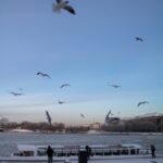 Delhi faces record cold snap as temperature plunges to 3°C, IMD issues orange alert