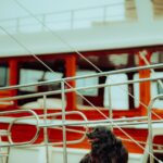 Armed guards deployed on Delhi’s Signature Bridge amid rising theft and vandalism