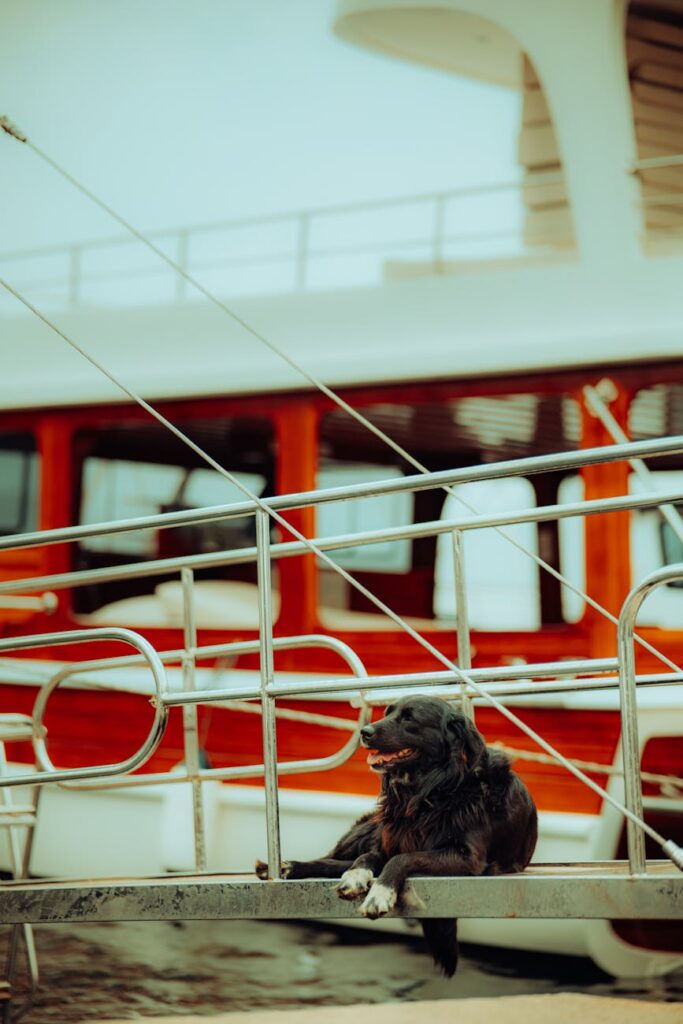 Armed guards deployed on Delhi’s Signature Bridge amid rising theft and vandalism